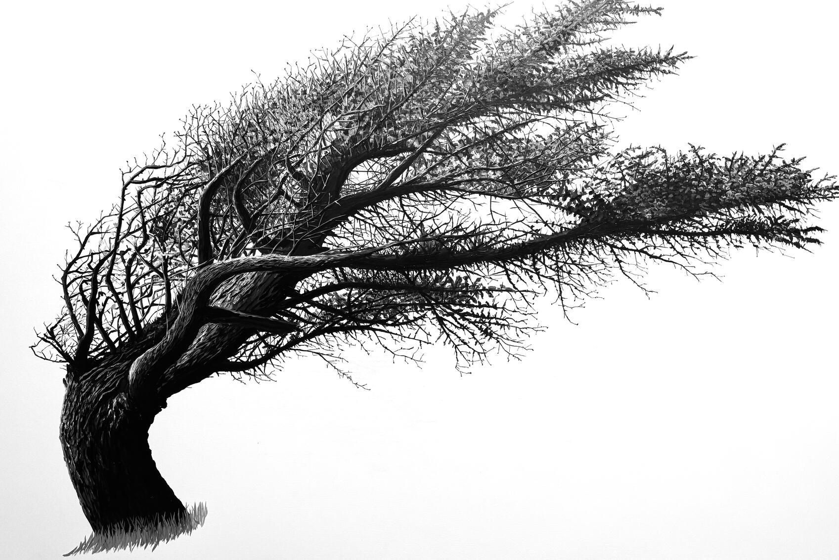 "Ecola Point Tree" Oil on Canvas, Oil on Canvas 48" x 72" - Exclusively at Kurbatoff Gallery