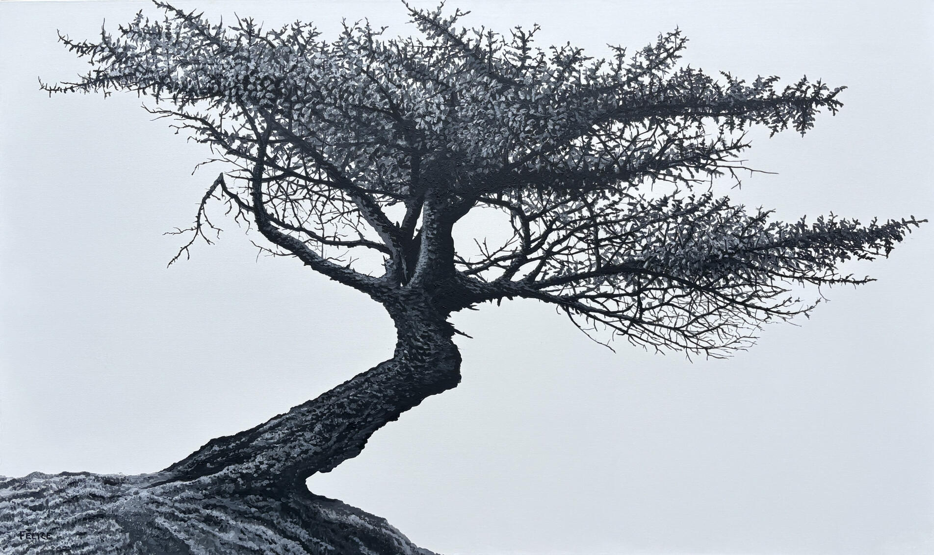 "Windswept V: Solitude" Oil on Canvas 36" x 60" x 1.5" (TGCA)